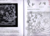Floral motive - immagine 2