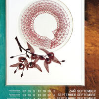 Calendario 2011 iva proskova