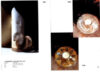 Accessori per la tavola 1998 n°1 - immagine 2