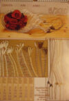 Calendario 2010 iva proskova - immagine 2