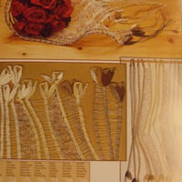 Calendario 2010 iva proskova