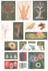 Naturmotive - immagine 2