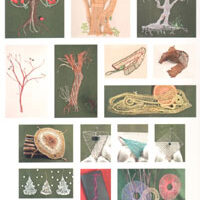 Naturmotive