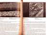 Merletto a fuselli note di storia e materiali d'archivio - immagine 2
