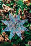 Sternenzauber 1/ stelle  christine mirecki - immagine 2