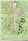 Lace express 2° 2013 - immagine 3