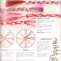 50 japanese braids con disco in cartone