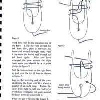The lucette book,  daniel phelps