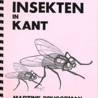 12 insetti in merletto