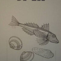 Gli abitanti del mare