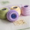 Jolly/kit 10 cordonetto 19 dmc special dentelles 80 5 gr colori misti