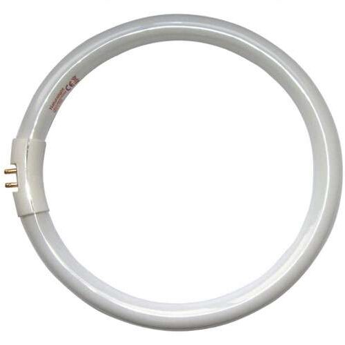 Tubo circolare naturalight™ da 22 w/t5 dn0002