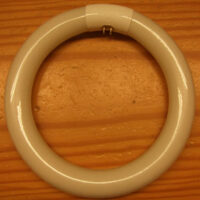 Neon circolina 22 w
