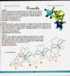 Tatting fantasia 5: fiori e colori, iris niebach - immagine 2