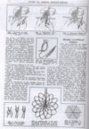 Netting, Kliot - immagine 3