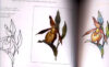 Finest flowers in embroidery, trish burr - immagine 2