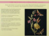 Embroidered gardens - immagine 2