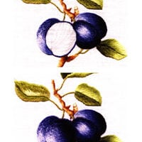 Colour confidence in embroidery, trish burr