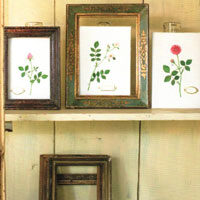 The embroidered garden, kazuko aoki