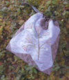 Souvenir quiltes de yoko saito - immagine 2