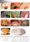 Labores de bolillos  48, speciale ventagli anno 2009 - immagine 2