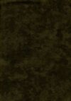 "forever green" by holly taylor for moda € 18,00 mt vendita a multipli di 50 cm - immagine 2