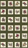 "forever green" by holly taylor for moda  base verde scuro, pannello cm 63 x 110 o multipli - immagine 2
