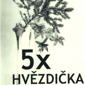 11 borse, iva proskova