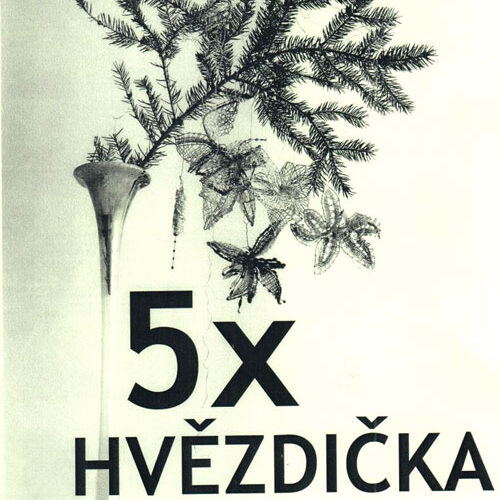 Hvezdickaiva proskova