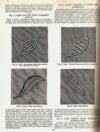 Mountmellick embroidery, kliot - immagine 2