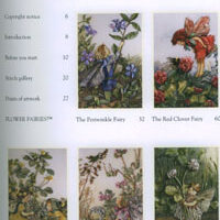 Flower fairies