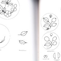 The complete book of stumpwork embroidery, nicholas jane