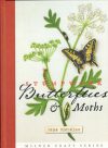 Stumpwork butterfly and moths