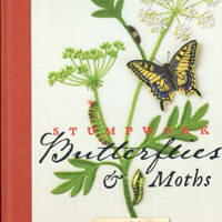Stumpwork butterfly and moths