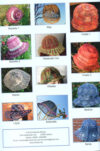 Hute in spitze/ cappelli in merletto,  christine mirecki - immagine 2