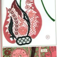 Lace express 2° 2016