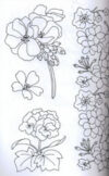 Flowers design con CD - immagine 3