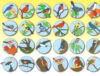 Blackyard birds - immagine 2