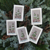 Www.noel03.voeux,  parolin