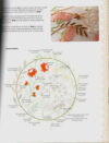 Broderie poetique, nathalie locquen - immagine 3