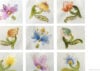 Ars canusina sapere, saper fare, neroni strozzi - immagine 2