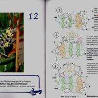 Butterflies, farfalle, iris niebach