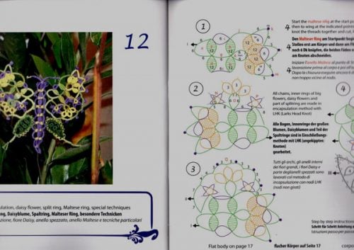 Butterflies, farfalle, iris niebach - immagine 2