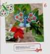 Butterflies, farfalle, iris niebach - immagine 3
