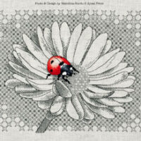 Ladybug and daisy, aijsai designs