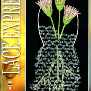 Lace express 1° 2006