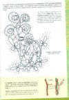 Twist and cross 19° - immagine 2