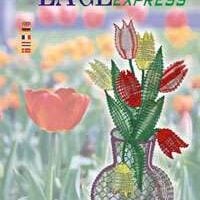 Lace express 1-2-3-4/2001