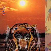Lace express 1-2-3-4/2000