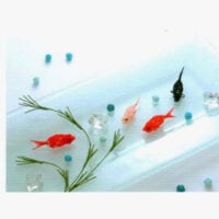 Mizuhiki au fil des saisons, eriko morita
